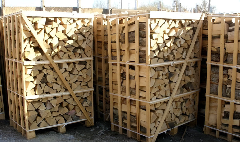 Getrocknetes Eschenholz aus der Ukraine – 35 cm